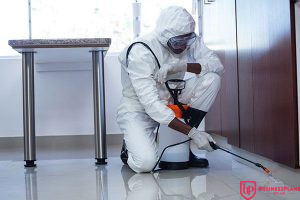 pest control services