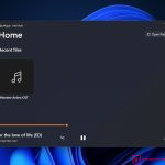 VoxPlayer on Windows 11