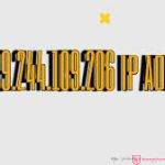 IP Address 209.244.109.206: