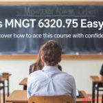 is MNGT 6320.795 easy