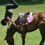 how to change tack on a single horse
