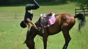 how to change tack on a single horse