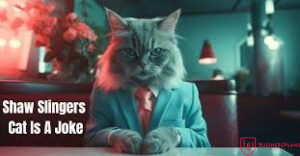 Shaw Slingers Cat is a joke.